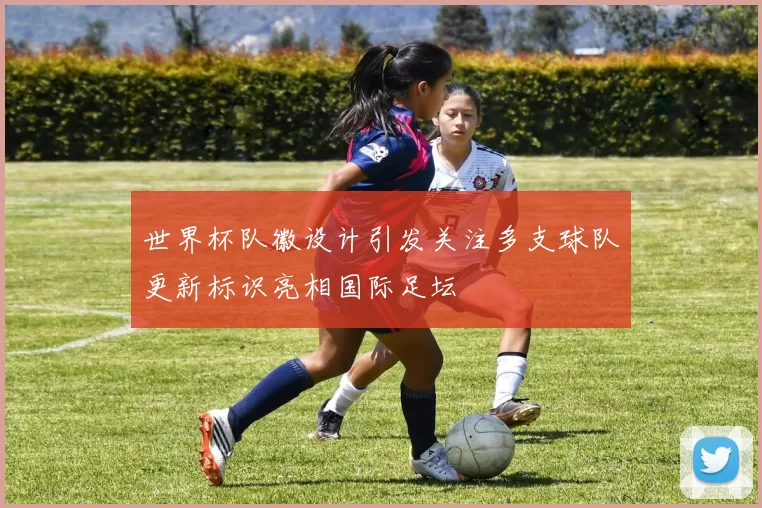 世界杯队徽设计引发关注多支球队更新标识亮相国际足坛