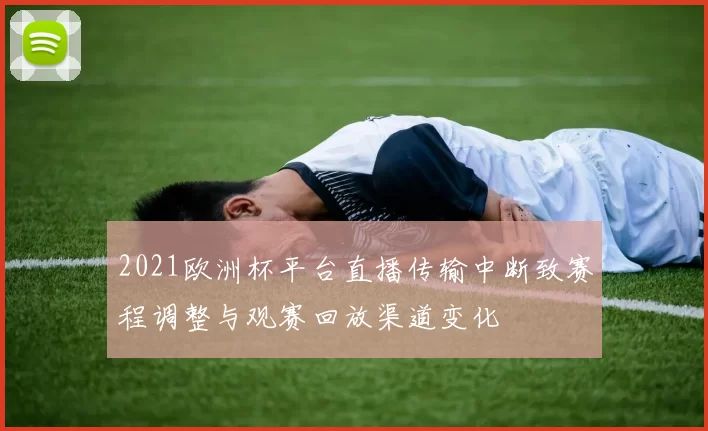 2021欧洲杯平台直播传输中断致赛程调整与观赛回放渠道变化