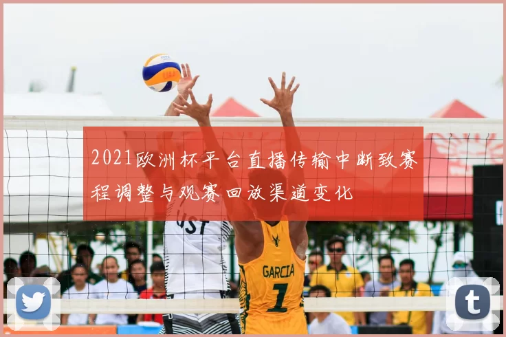 2021欧洲杯平台直播传输中断致赛程调整与观赛回放渠道变化