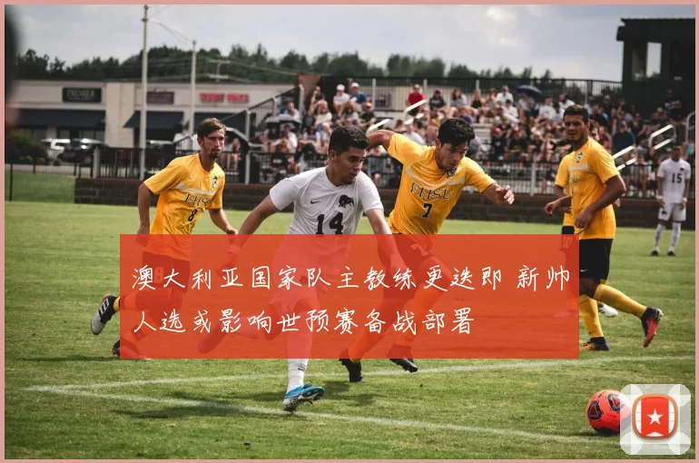 澳大利亚国家队主教练更迭即 新帅人选或影响世预赛备战部署