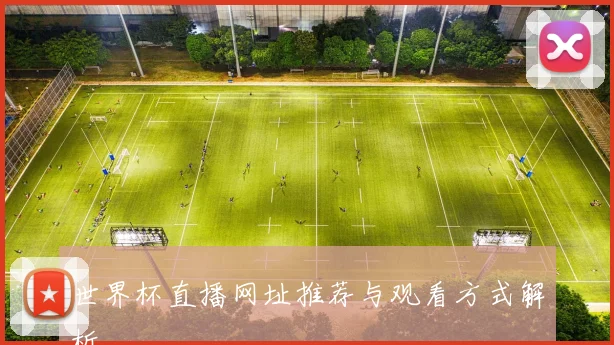 世界杯直播网址推荐与观看方式解析