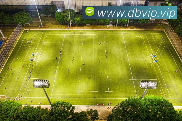 九游官方登录入口发展历程